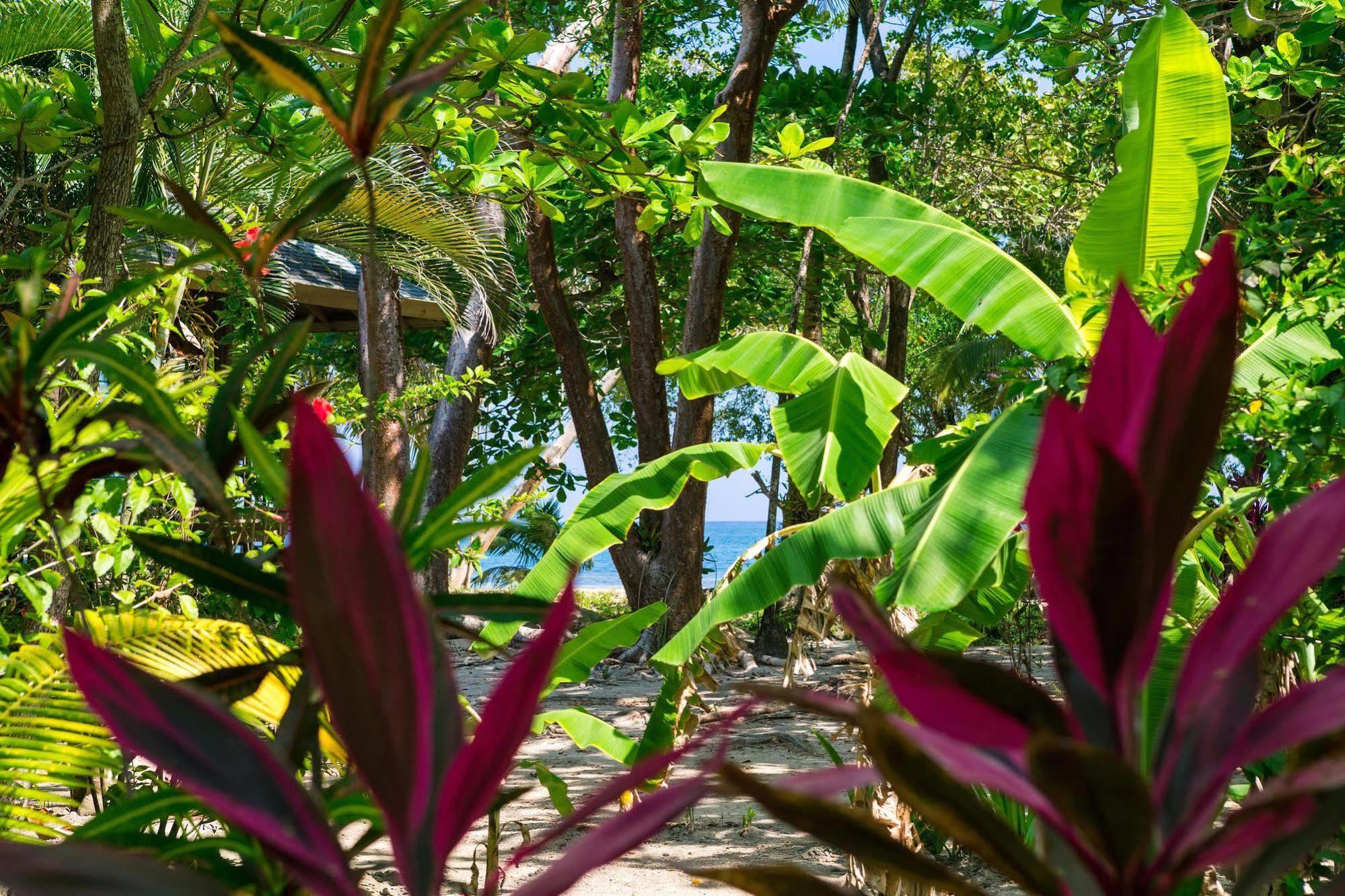 Casa Flores Palmetto Bay Exteriör bild